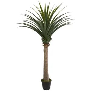 6.5’ Yucca Cane Artificial Plant