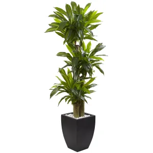 66" Artificial Corn Stalk Dracaena with Black Wash Planter - Low Maintenance, Life-Like & Vibrant Silk Plants For Busy People.