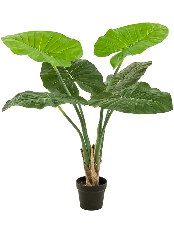 Alocasia Artificial Plant Premium Faux 90cm Height