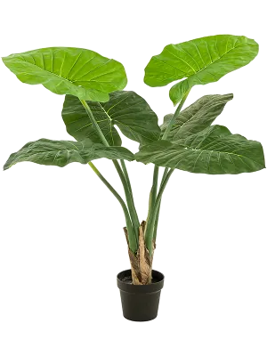 Alocasia Artificial Plant Premium Faux 90cm Height