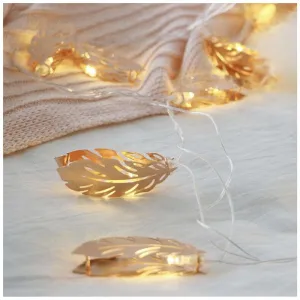 Champagne Feather LED Fairy Lights (2m)