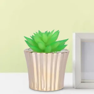 Ekhasa Succulent Artificial Plants for Home Decor with Pot | Fake Faux False Show Decor Indoor Plastic Small Decorative Potted Plant for Living Room, Kitchen, Office, Desk, Green Plant for Decoration