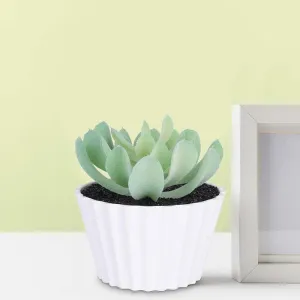 Ekhasa Succulent Artificial Plants for Home Decor with Pot | Fake Faux False Show Decor Indoor Plastic Small Potted Plant for Living Room, Kitchen, Office Desk, Bathroom, Green Plant for Decoration