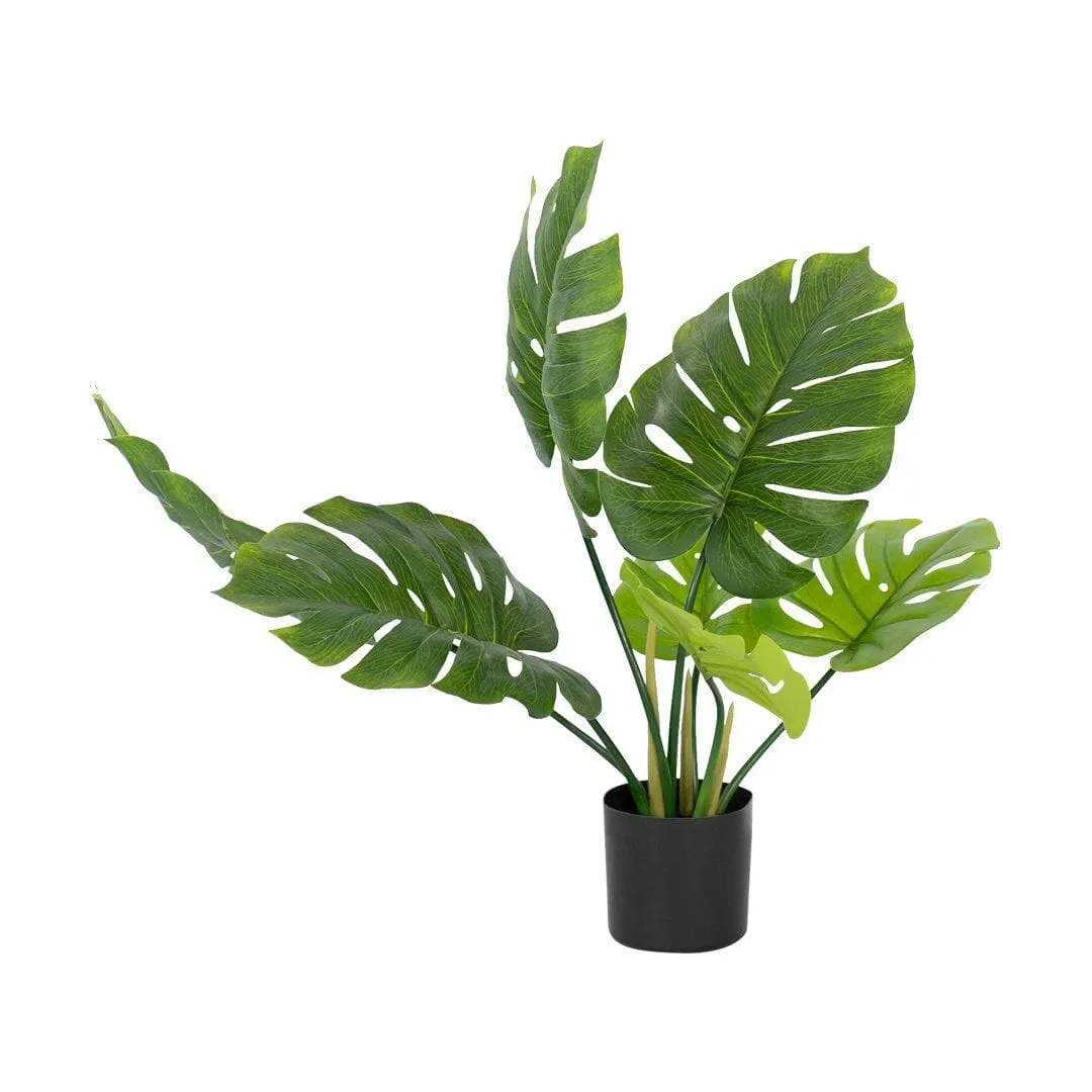 Faux Monsteria Plant - Small