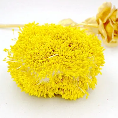 Free Shipping 420pcs 1mm Artificial Pearl Flower Stamen Floral Stamen Wedding Decoration for DIY