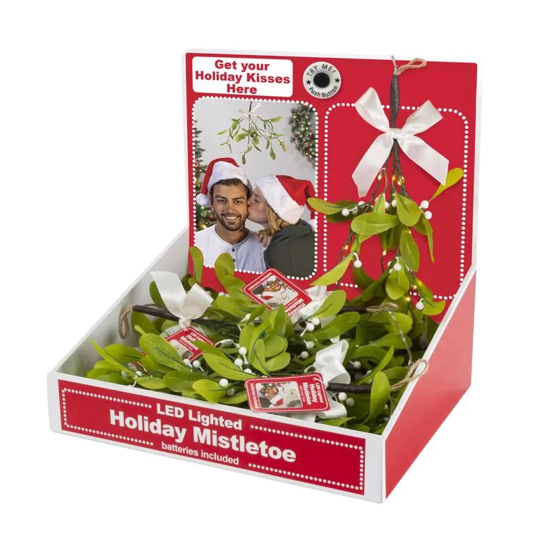 Gerson Mistletoe Branch with Warm White LED Lights Hanger 12 in.