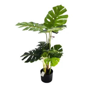 MONSTERA TREE 90CM 11 LEAVES