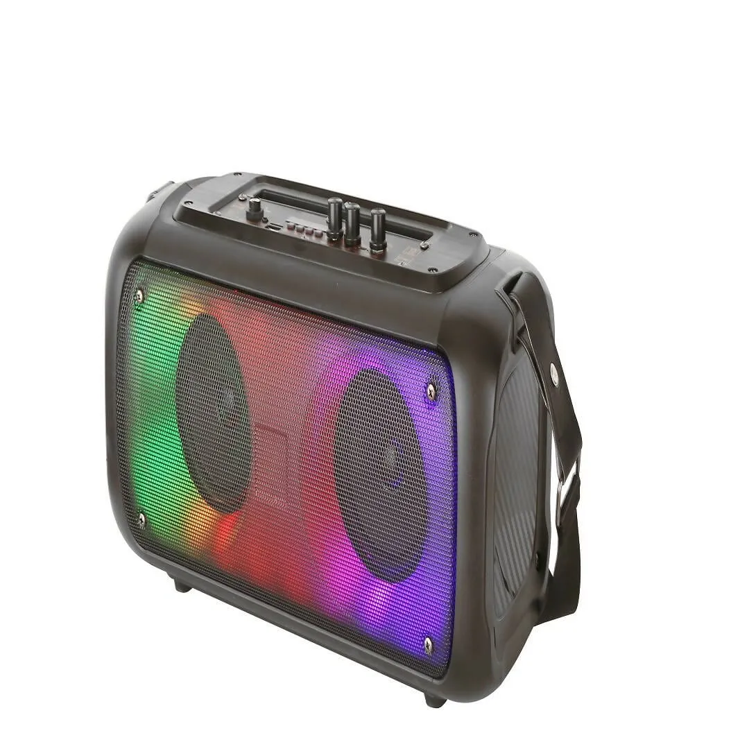 Portable Bluetooth Double Woofer Speaker 4 inch with Wireless Mic