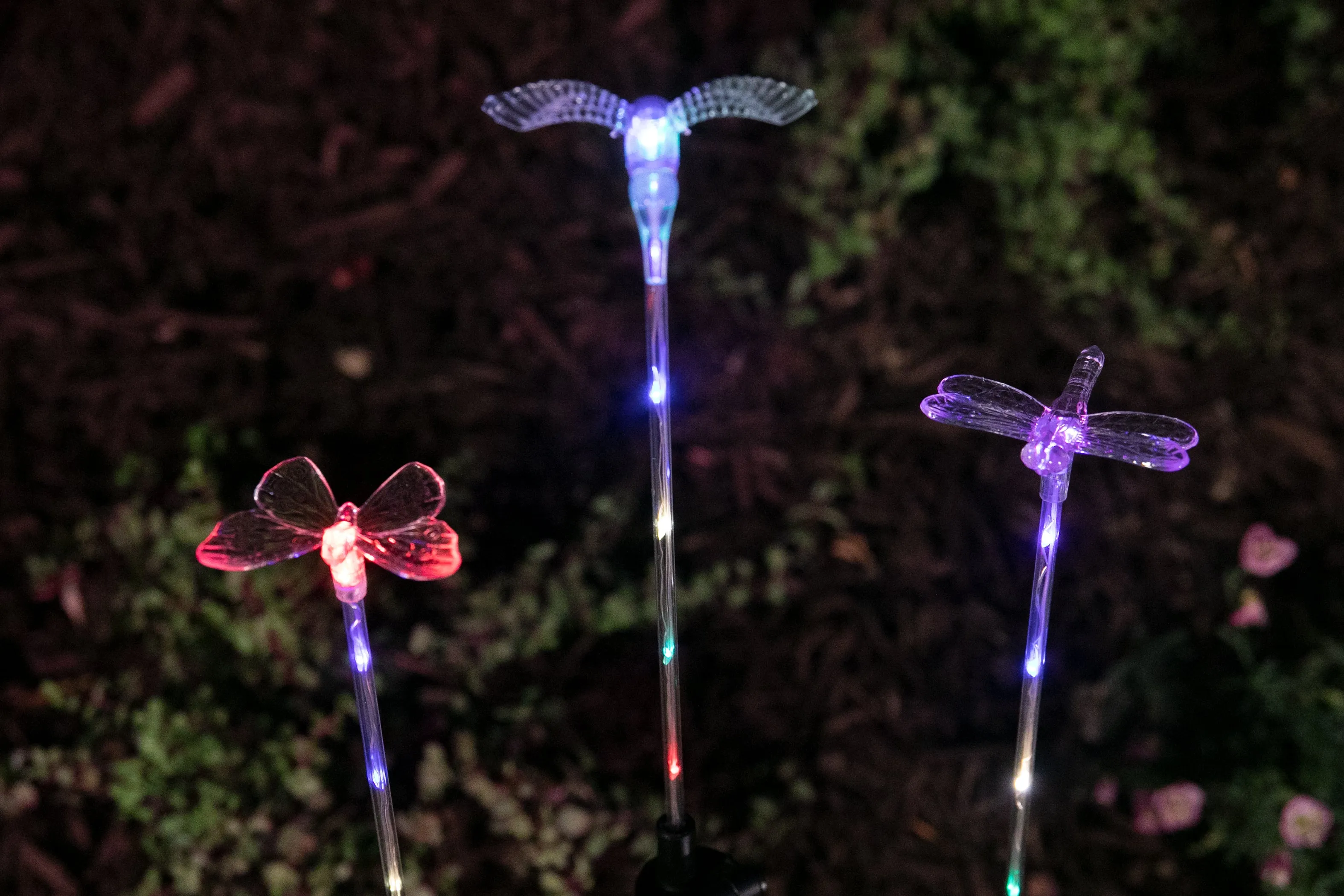 Solar Acrylic Butterfly, Hummingbird and Dragonfly Garden Stake Set of Three, 3 by 25 Inches