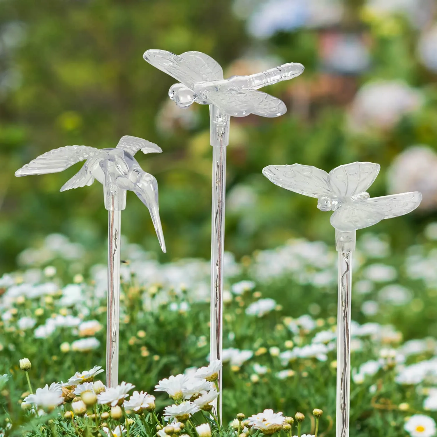 Solar Acrylic Butterfly, Hummingbird and Dragonfly Garden Stake Set of Three, 3 by 25 Inches