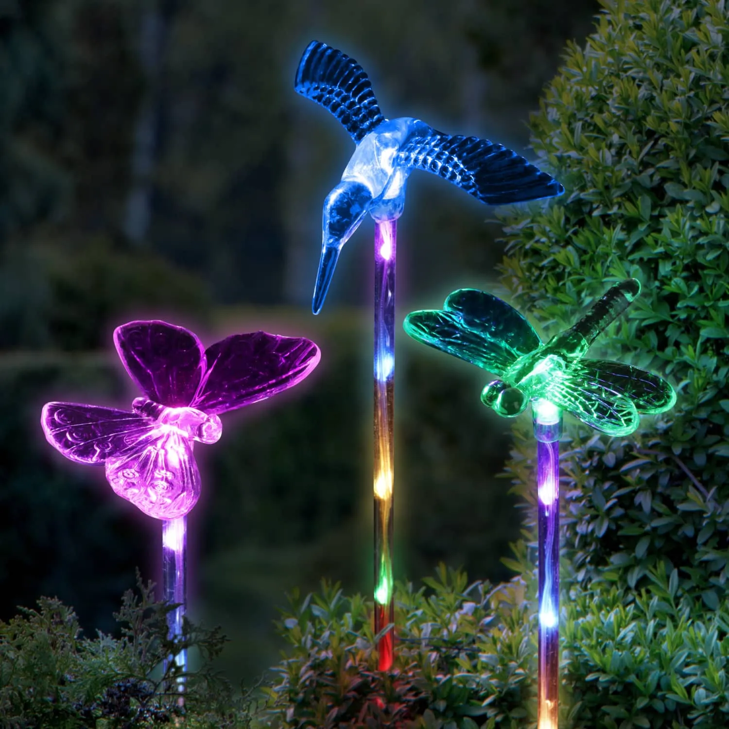 Solar Acrylic Butterfly, Hummingbird and Dragonfly Garden Stake Set of Three, 3 by 25 Inches