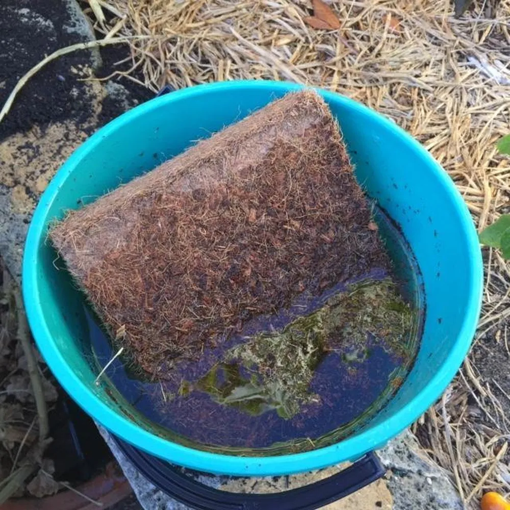 Square Coir Planter Grow Bag With Coir Fibre Block - Hort With Heart