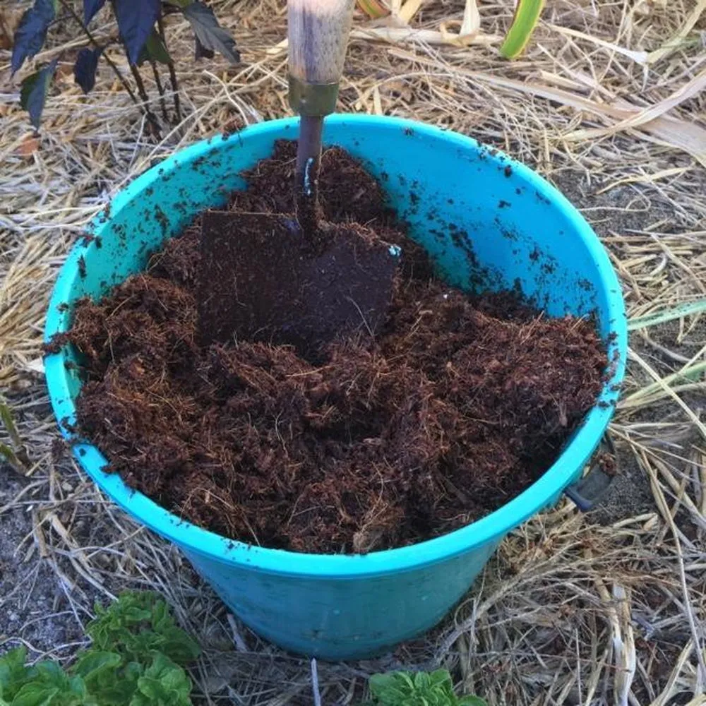 Square Coir Planter Grow Bag With Coir Fibre Block - Hort With Heart