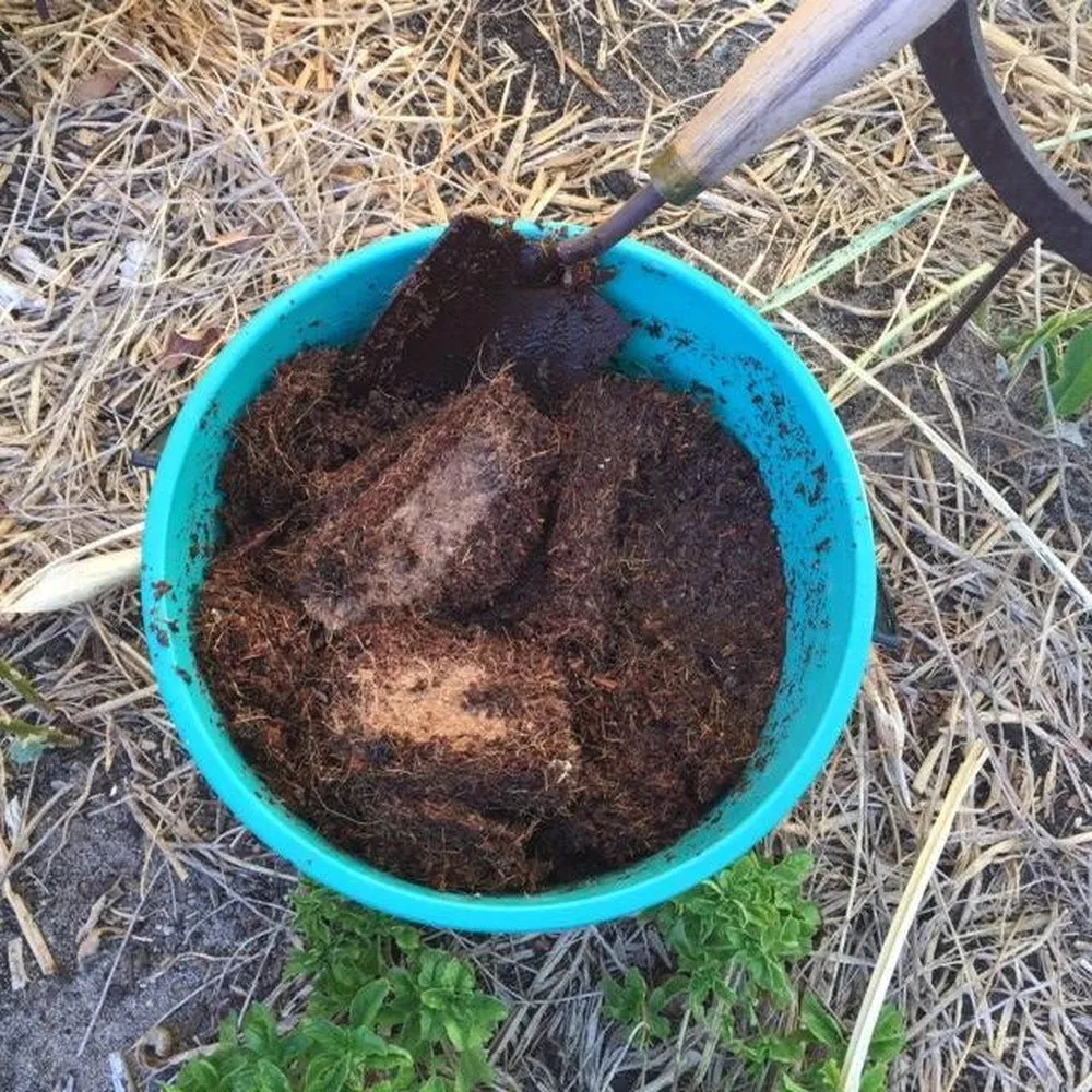 Square Coir Planter Grow Bag With Coir Fibre Block - Hort With Heart