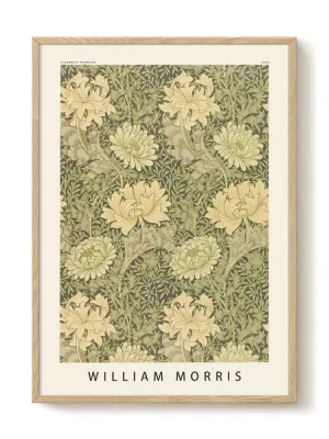 William Morris - Flowers and Plants